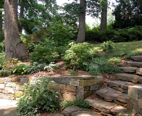 Stone Retaining Wall and Large Stone Steps
