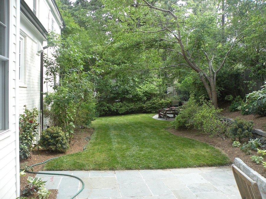 Chevy Chase Back Yard After
