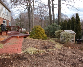 Springer backyard 1 Before