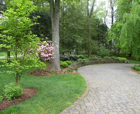 Yeonas driveway