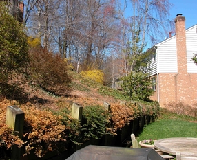 McLean Back Yard Stone Wall2 Before