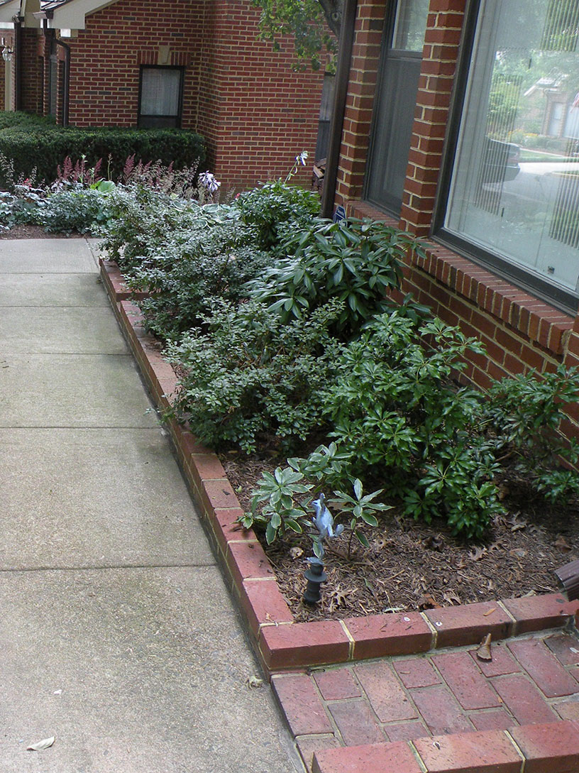 Townhouse Front Plantings After