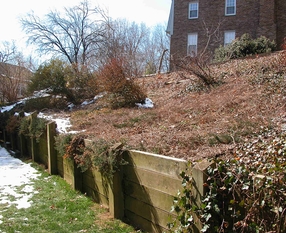 McLean Back Yard Stone Wall Before