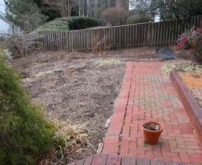 Springer backyard 2 Before