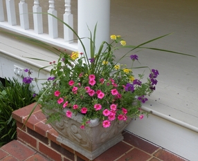 _061512_16122 (640x480).jpg