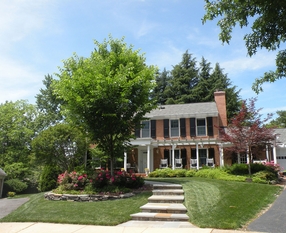 Entrance path with steps - Arlington