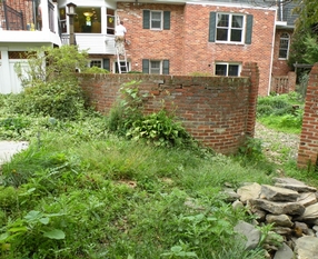 Great Falls Side Yard Before