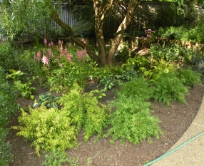 _061512_16117 (640x480).jpg