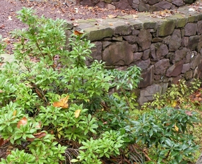 Semi-dry Stack Stone Retaining Wall
