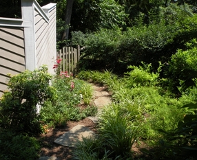 Stepping Stone Path