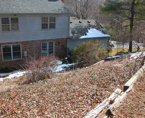 McLean Back Slope Plantings Before
