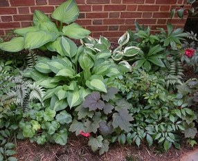 2007-05-15_0001.jpg