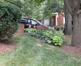 5Front (800x600).jpg