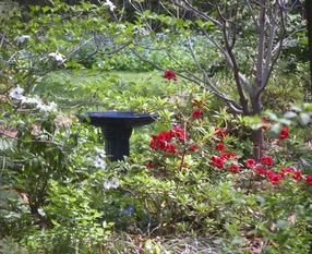 DSCN0038 (640x480).jpg
