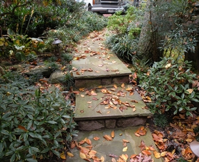 Stone Entrance Walk