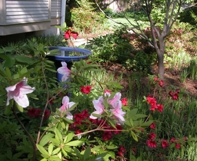 DSCN0139 (640x480).jpg