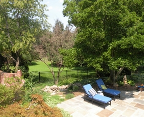 Great Falls Back Yard Before