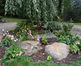 _092710_8553 (640x480).jpg